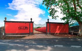 Quinta Do Falcão